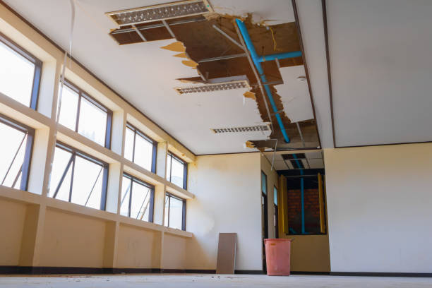 Best 24-hour water damage restoration  in Mpo, CA
