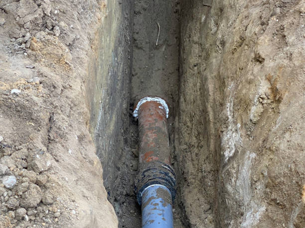 Best Professional water damage repair  in Mpo, CA