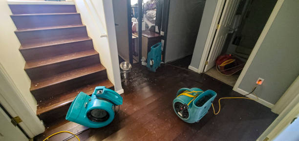  Mpo, CA Water damage restoration Pros