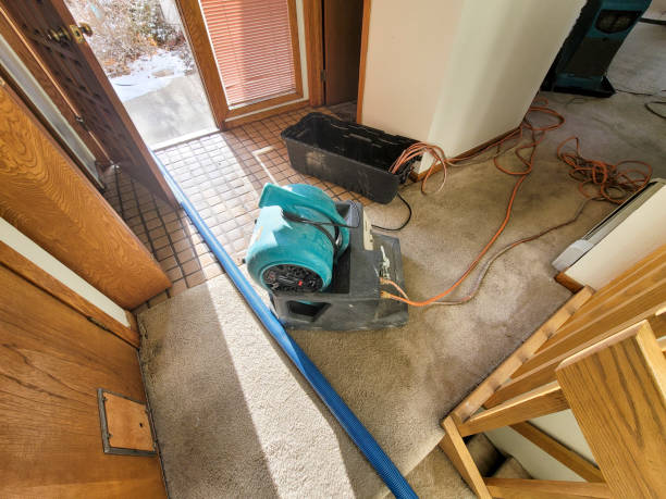 Best Flood damage cleanup  in Mpo, CA