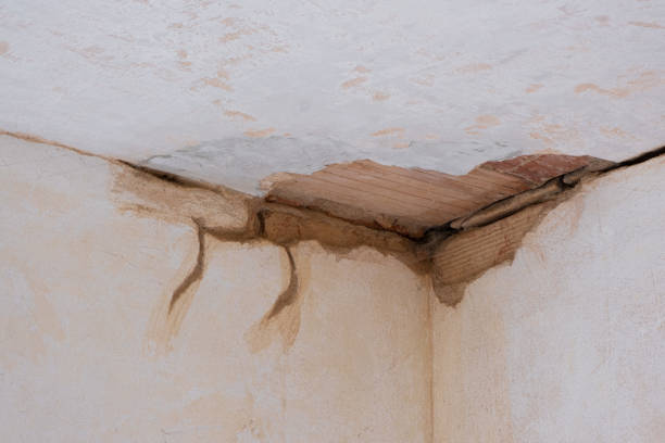 Best Emergency water damage restoration  in Mpo, CA
