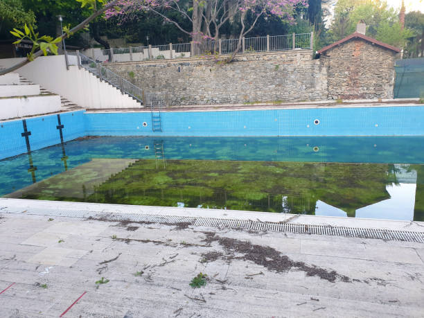 Best Flood restoration services  in Mpo, CA