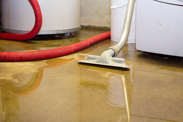 Best Water damage contractors near me  in Mpo, CA