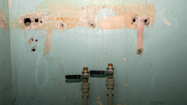 Best Water damage restoration mold remediation  in Mpo, CA