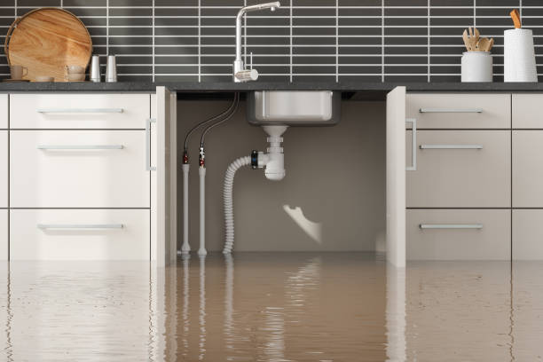 Best Water damage cleanup near me  in Mpo, CA
