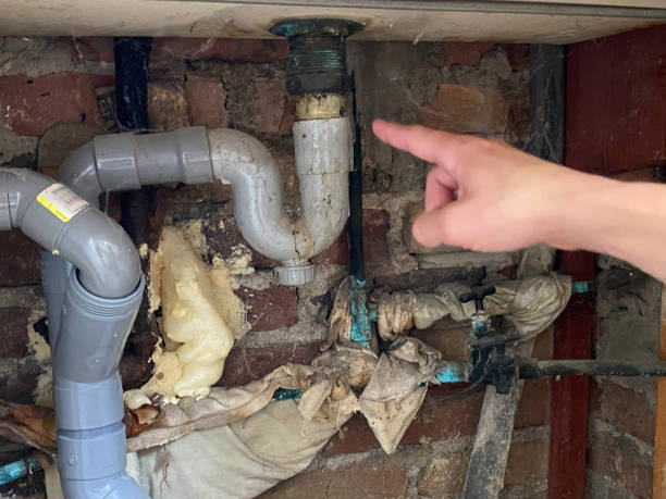 Best Basement water damage restoration  in Mpo, CA