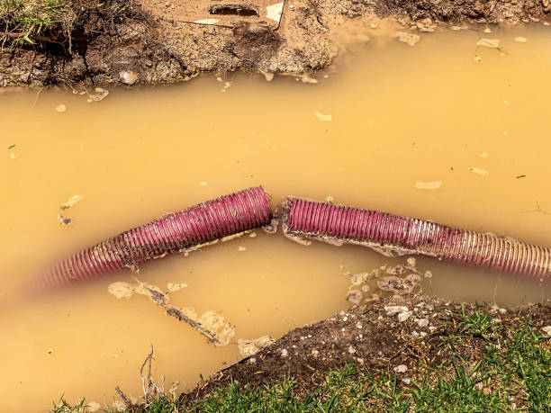 Best Water damage restoration experts  in Mpo, CA
